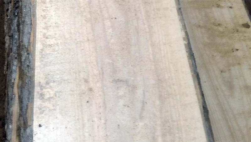 dub_neobreznoi_foto_800px Дуб (необрезной) 40 мм